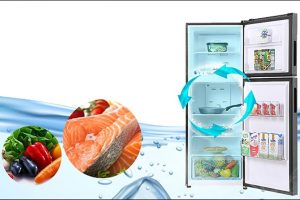 2023 11 27 638366988083298565 so sanh cong nghe lam lanh truc tiep va gian tiep tren tu lanh 2023 11 27 638366988083298565 so sanh cong nghe lam lanh truc tiep va gian tiep tren tu lanh